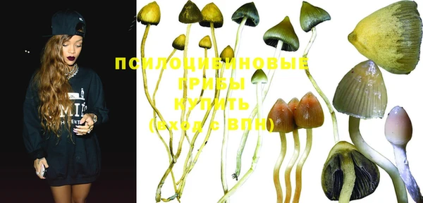 MDMA Богородицк
