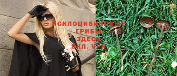 MDMA Богородицк