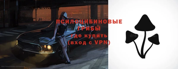 COCAINE Богородск