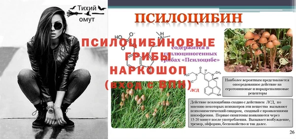 COCAINE Богородск