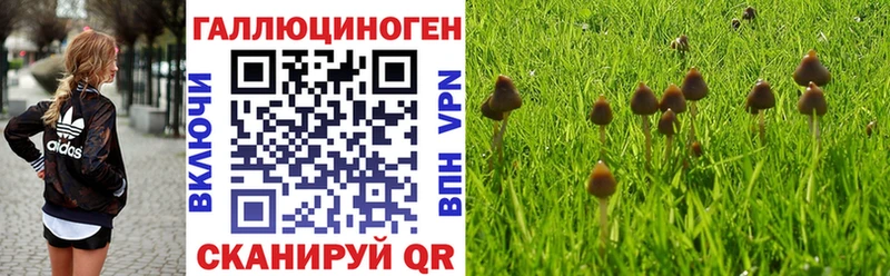 Псилоцибиновые грибы ЛСД  Малмыж 