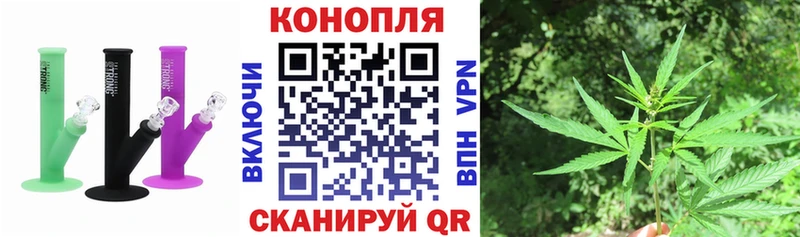 как найти наркотики  Малмыж  Конопля сатива 